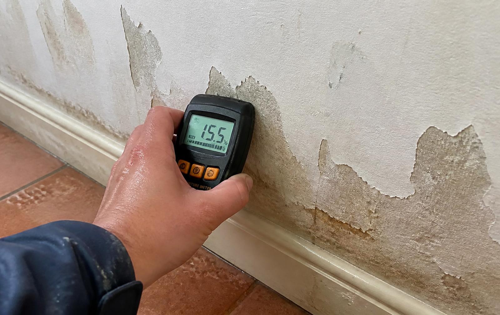 An electronic moisture meter held against a wall with peeling paint during a damp survey