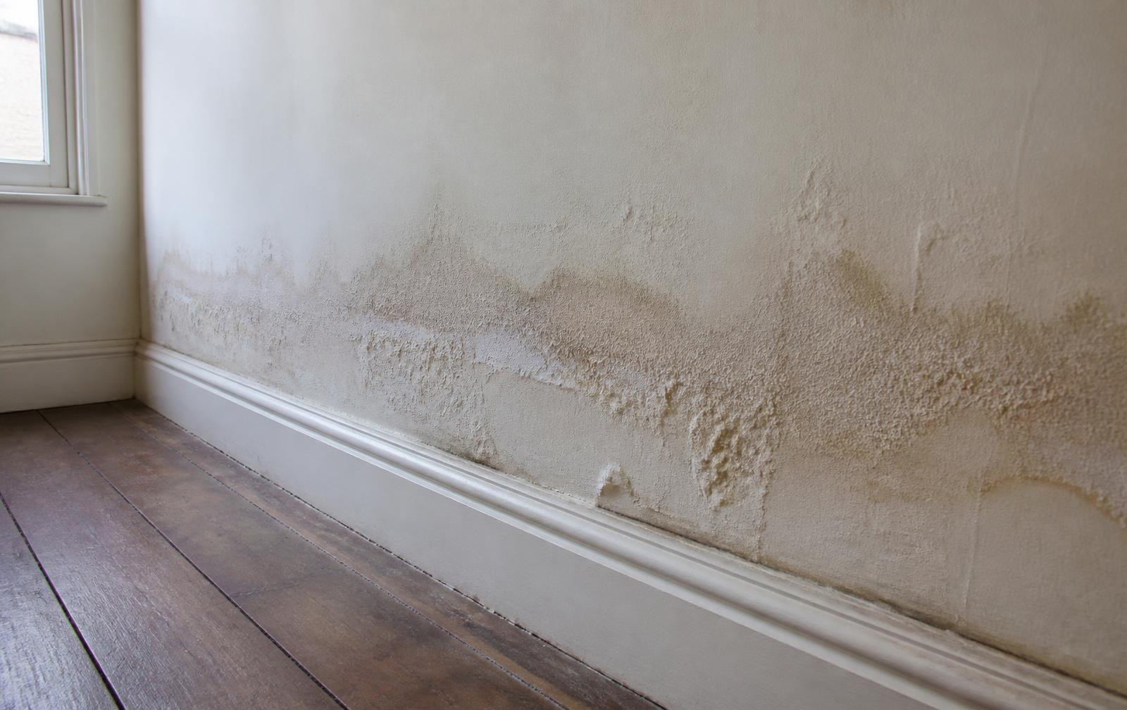 A tide mark stain on the lower part of an interior wall, typical of rising damp